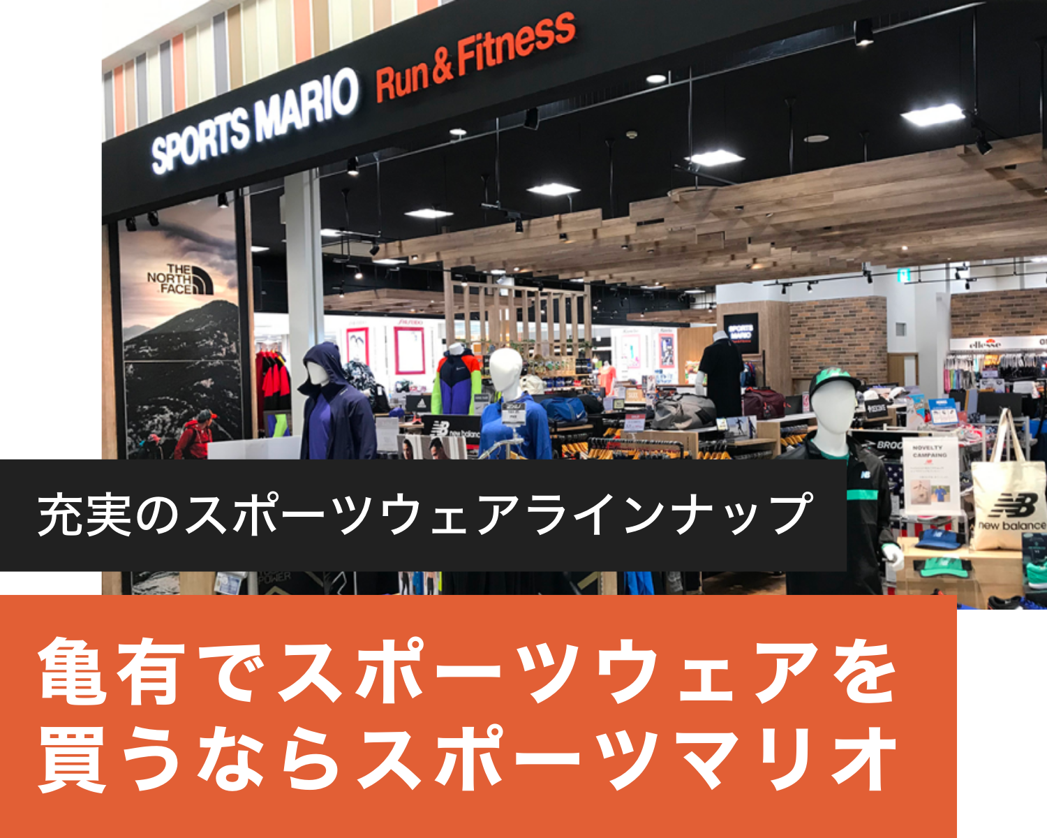 トップ画像