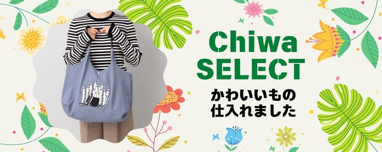 スタッフちわのおすすめ特集