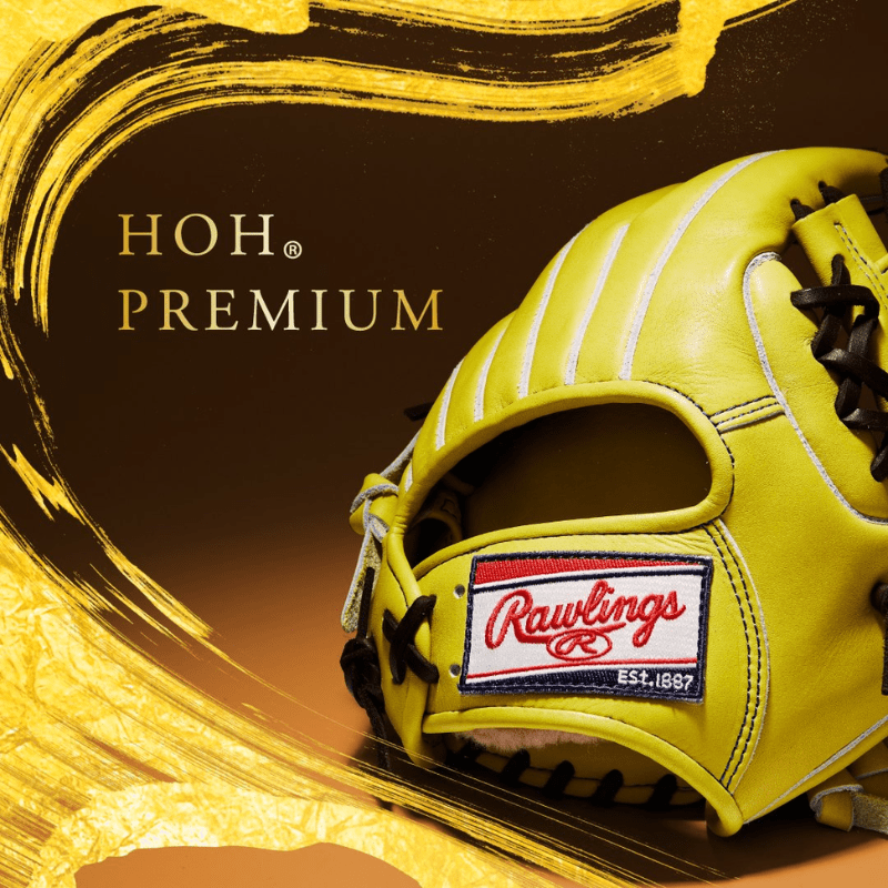 HOH PREMIUM 硬式用グラブ