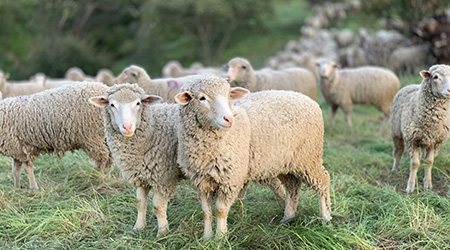 倫理と管理責任