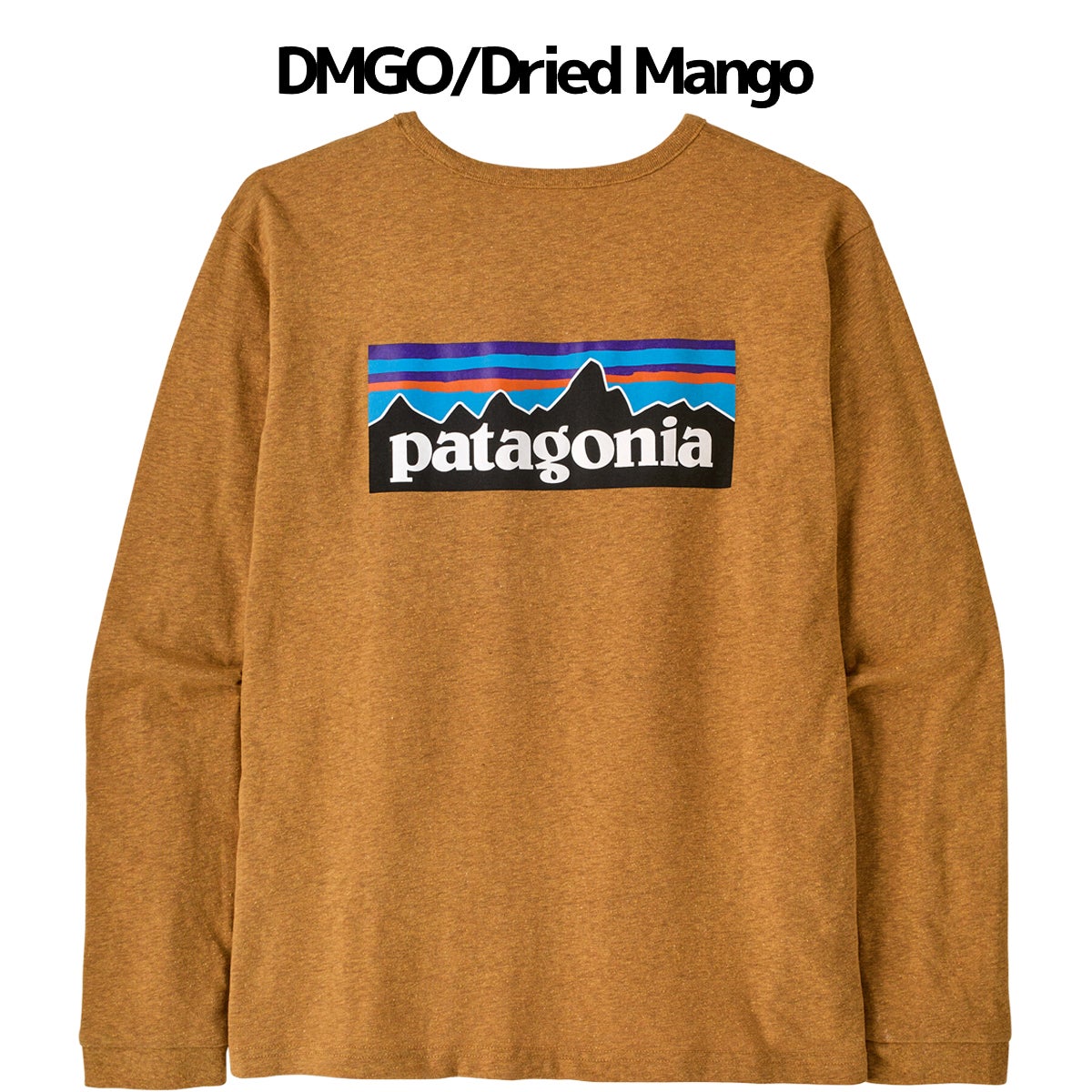 パタゴニア ロングスリーブ・P-6ロゴ・レスポンシビリティー PATAGONIA