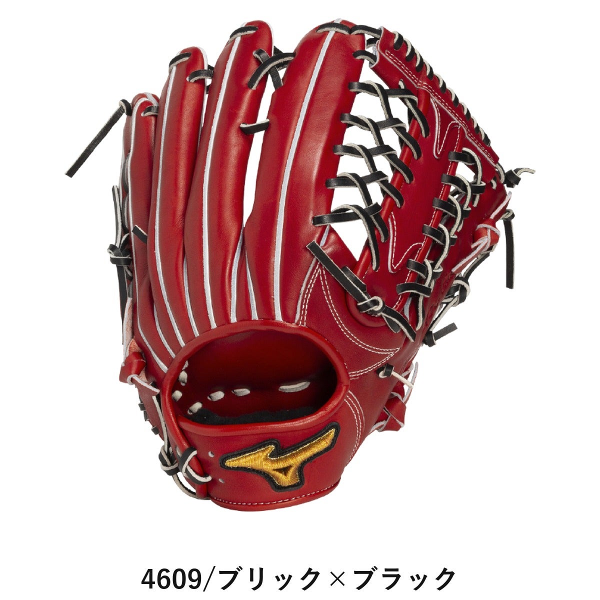 ミズノ MIZUNO 専用グラブ袋付き MizunoPro Classic 硬式用グラブ 外