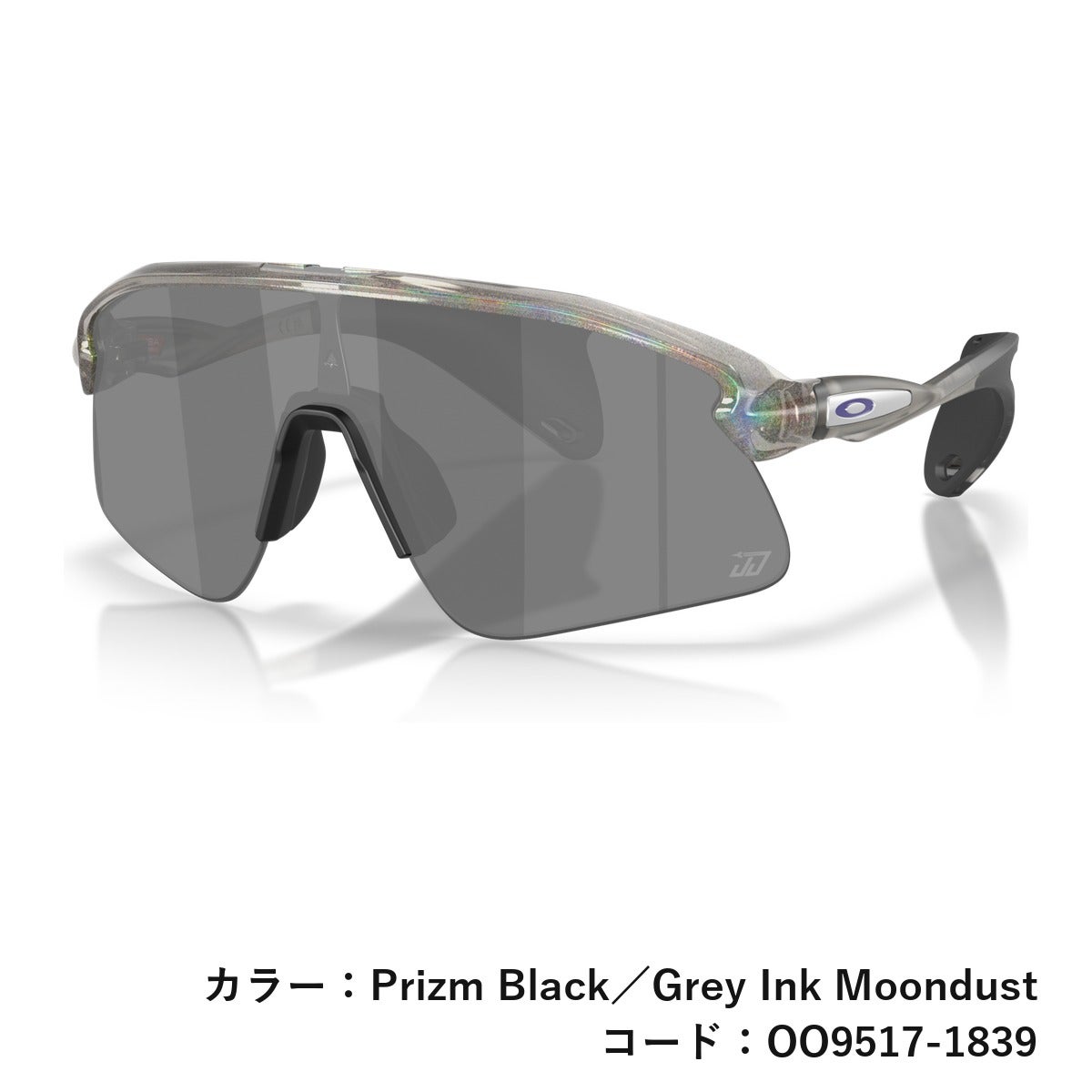 オークリー OAKLEY Stunt Devil サングラス 一般 スタント デビル