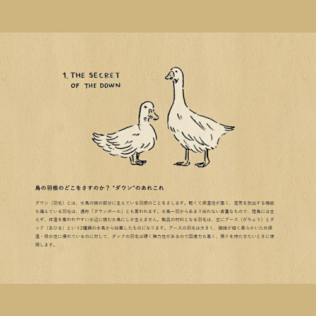 ナンガNANGAAURORASTANDCOLLARDOWNJACKETオーロラスタンドカラーダウンジャケットメンズダウンアウター保温防水カジュアル防寒ウェアアウトドア普段使いタウンユースN1asMYE5N1asMYH5N1asBKF5N1asBKG5N1asBKH5N1asMYF5N1asMYG5N1asBKE5