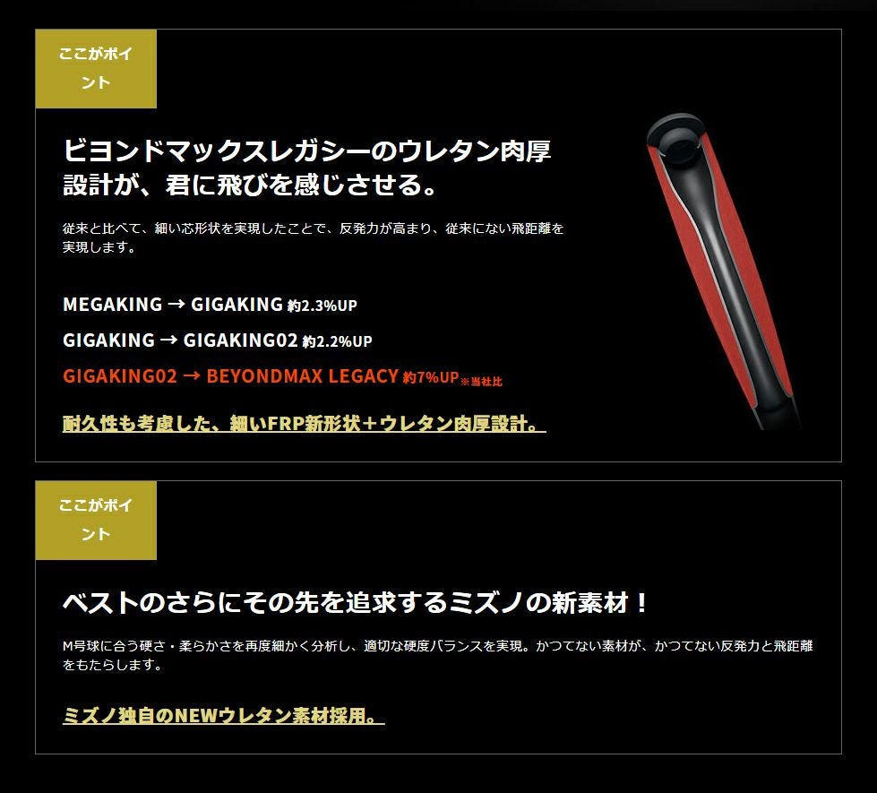 ミズノ MIZUNO 専用バットケース付き BEYONDMAX LEGACY ビヨンド