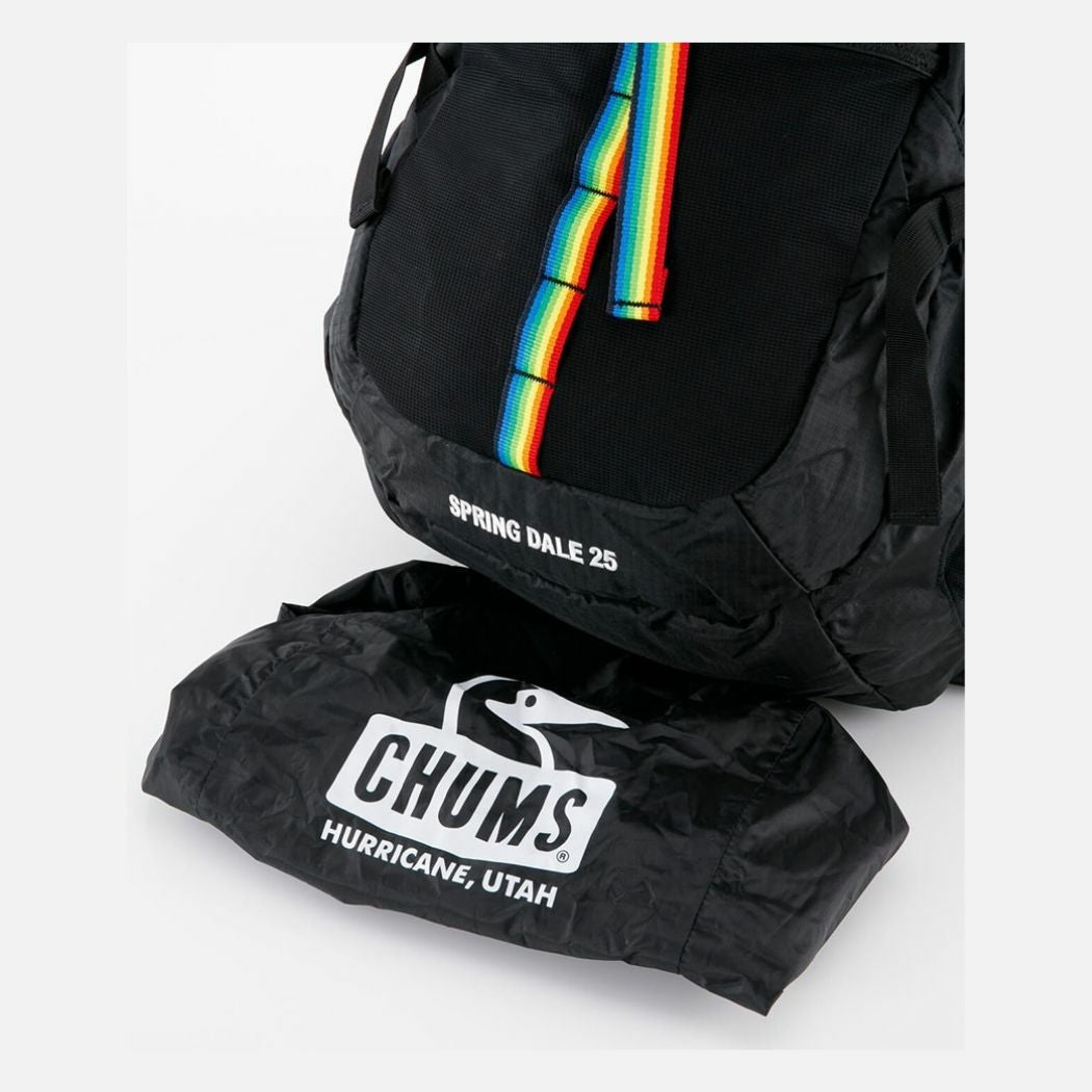 美品　CHUMS SPRING DALE 25 リュック Spring Dale 25|CHUMS(チャムス)|アウトドアファッション公式通販