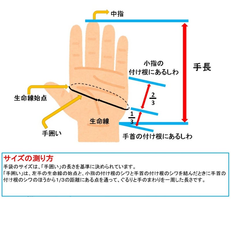 ミズノMIZUNOMizunoProミズノプロシリコンパワーアークLIバッティンググラブ両手用野球バッティング手袋天然皮革母の日父の日限定カラー1EJEA51364