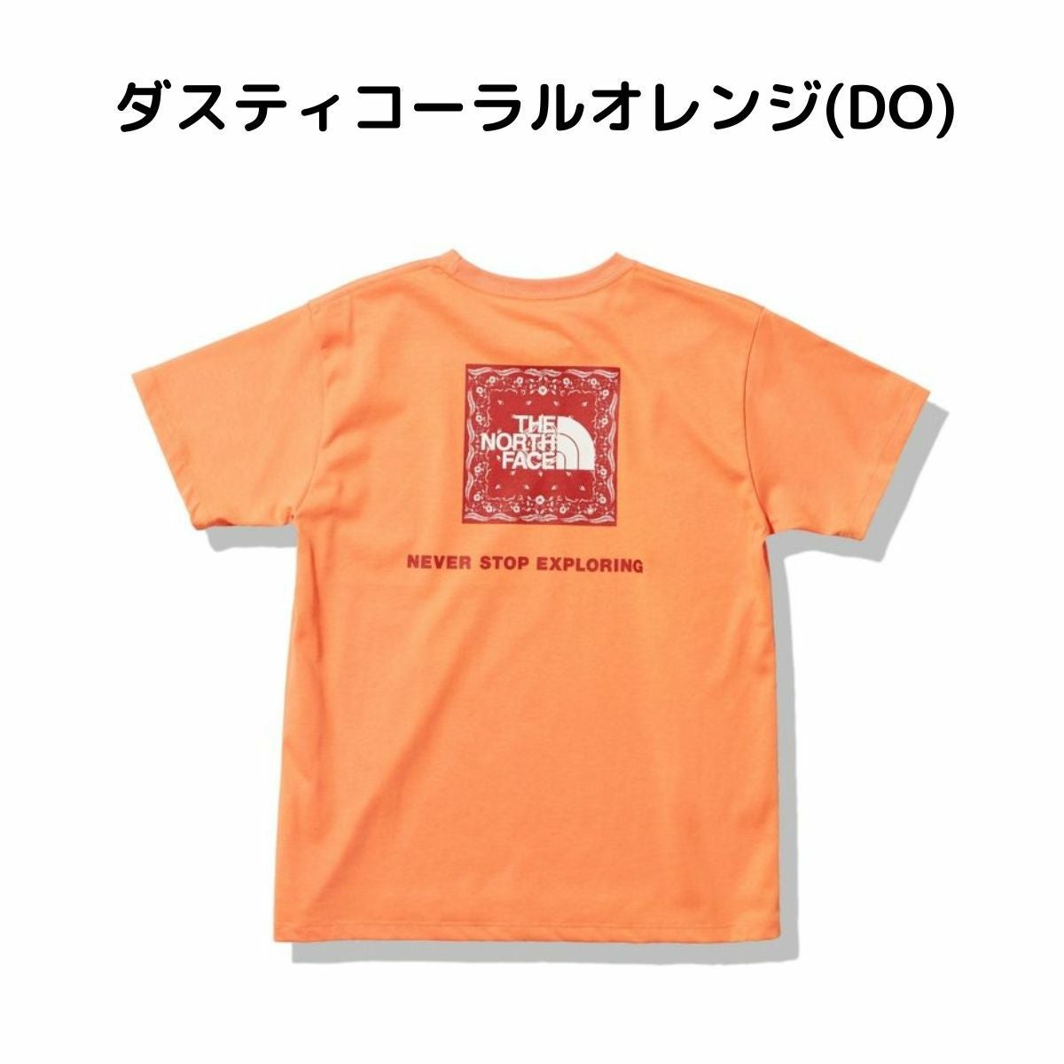 ザ・ノース・フェイス ショートスリーブバンダナスクエアロゴティー