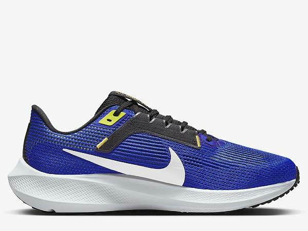 ナイキ ズームペガサス40ワイド29.0 NIKE Zoom Pegasus ナイキ NIKE AIR ZOOM PEGASUS 40 EXTRA WIDE エア ズーム ペガサス 40