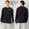 ローリングスRawlingsGROUNDREDグラウンドレッドLongSleeveCottonT-shirt長袖コットンTシャツ野球カジュアルベースボールカジュアル長袖シャツ長袖TシャツAST13F06
