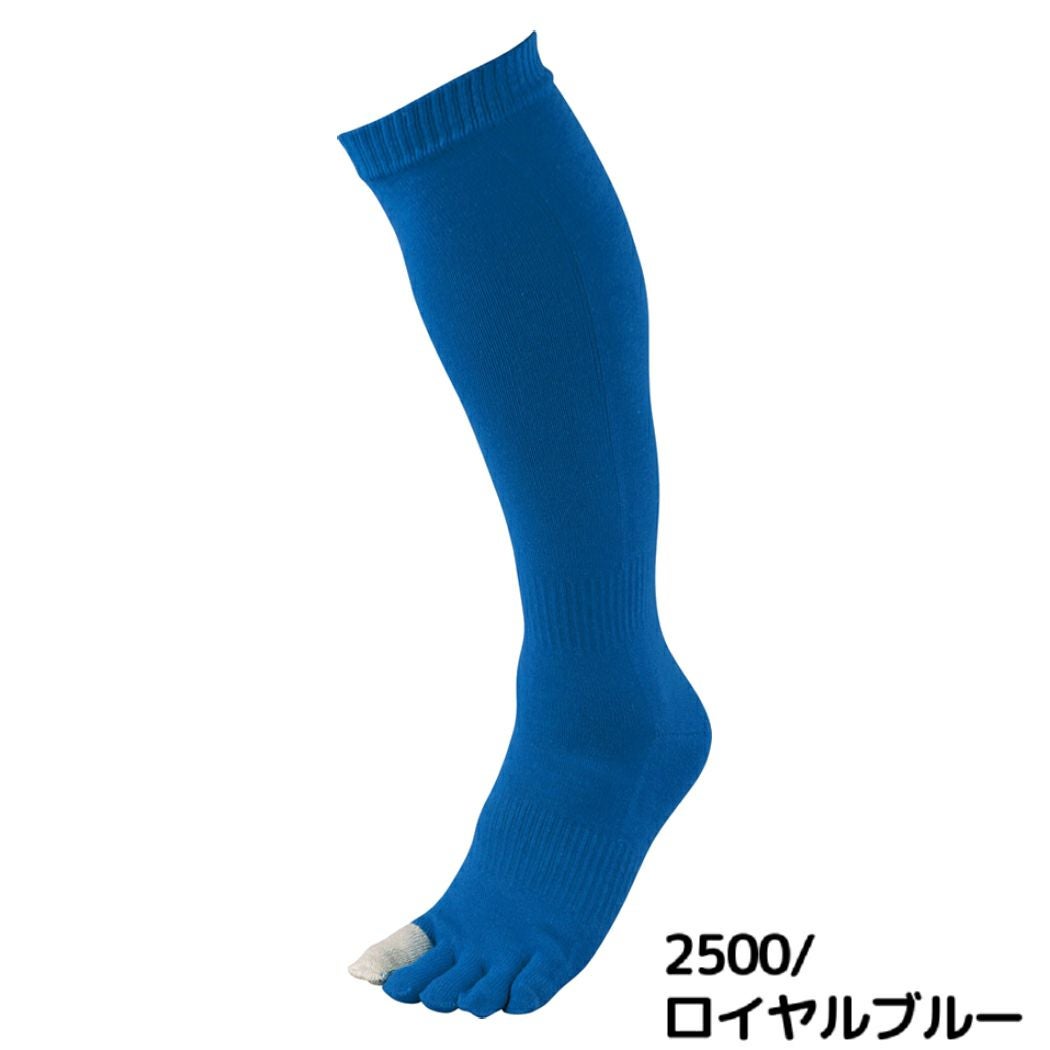 ゼット ZETT イザナス 5本指 カラーソックス 25～28cm 一般 メンズ