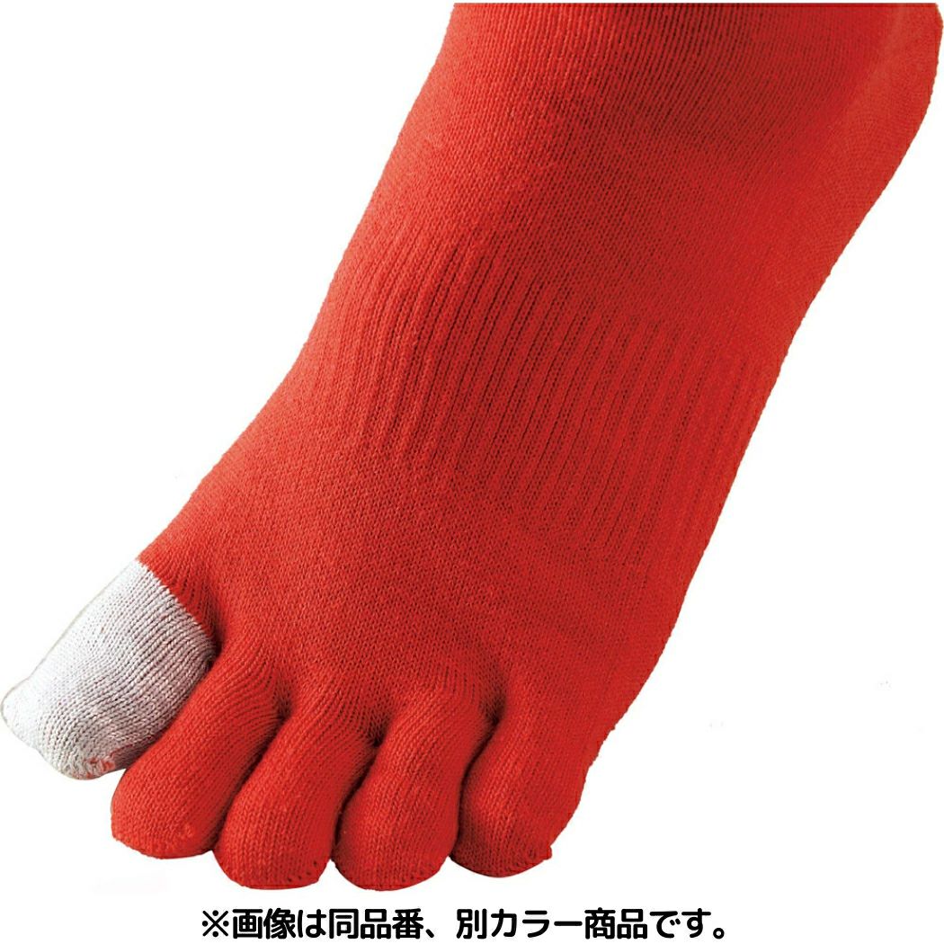 ゼット ZETT イザナス 5本指 カラーソックス 25～28cm 一般 メンズ