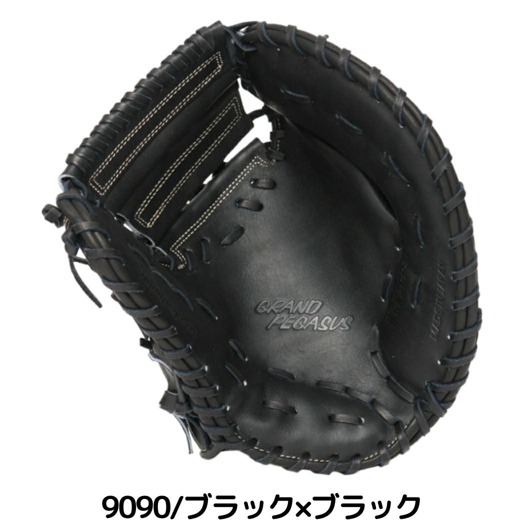 ワールドペガサス WORLD PEGASUS 【専用グラブ袋付き】グランド