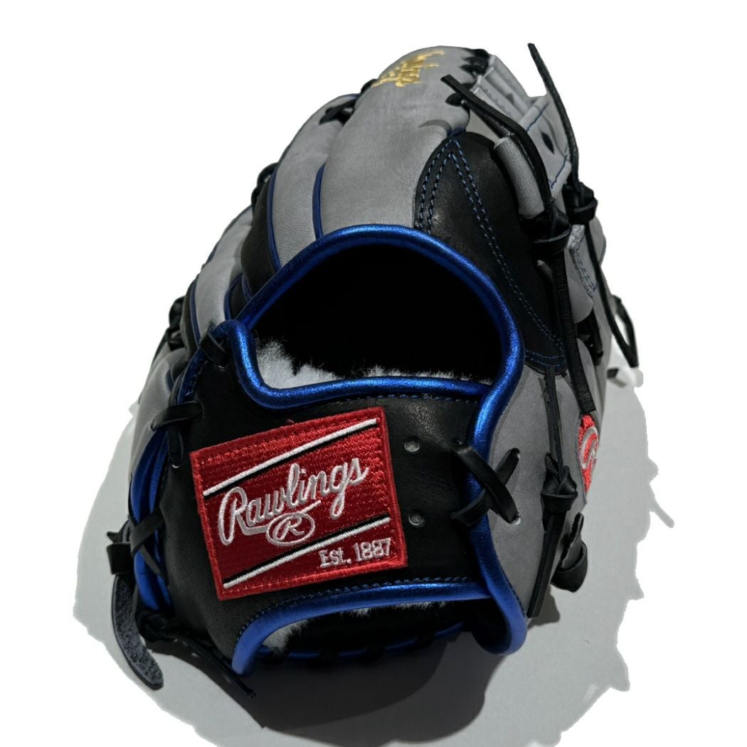 ローリングス Rawlings 【専用グラブ袋付き】限定 NPB2024コレクション