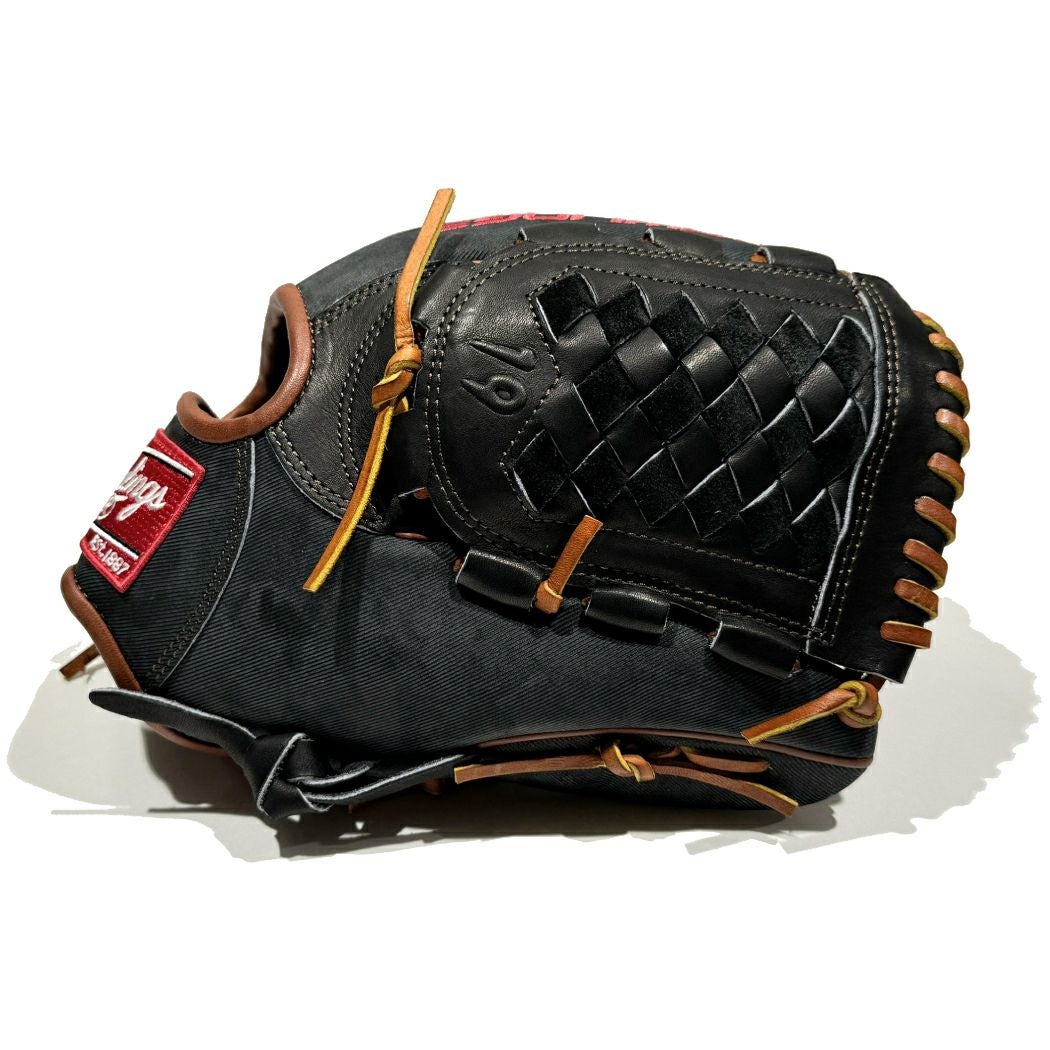 ローリングス Rawlings 【専用グラブ袋付き】限定 NPB2024コレクション
