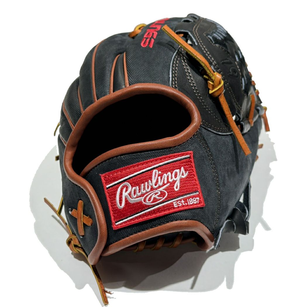 ローリングス Rawlings 【専用グラブ袋付き】限定 NPB2024コレクション