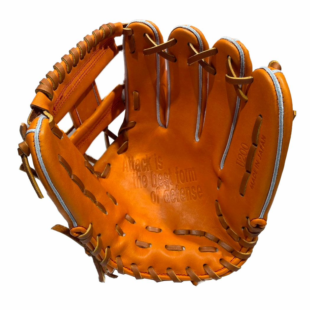 ディーバイエム D×M 【専用グラブ袋付き】Uシリーズ 硬式用グラブ 内