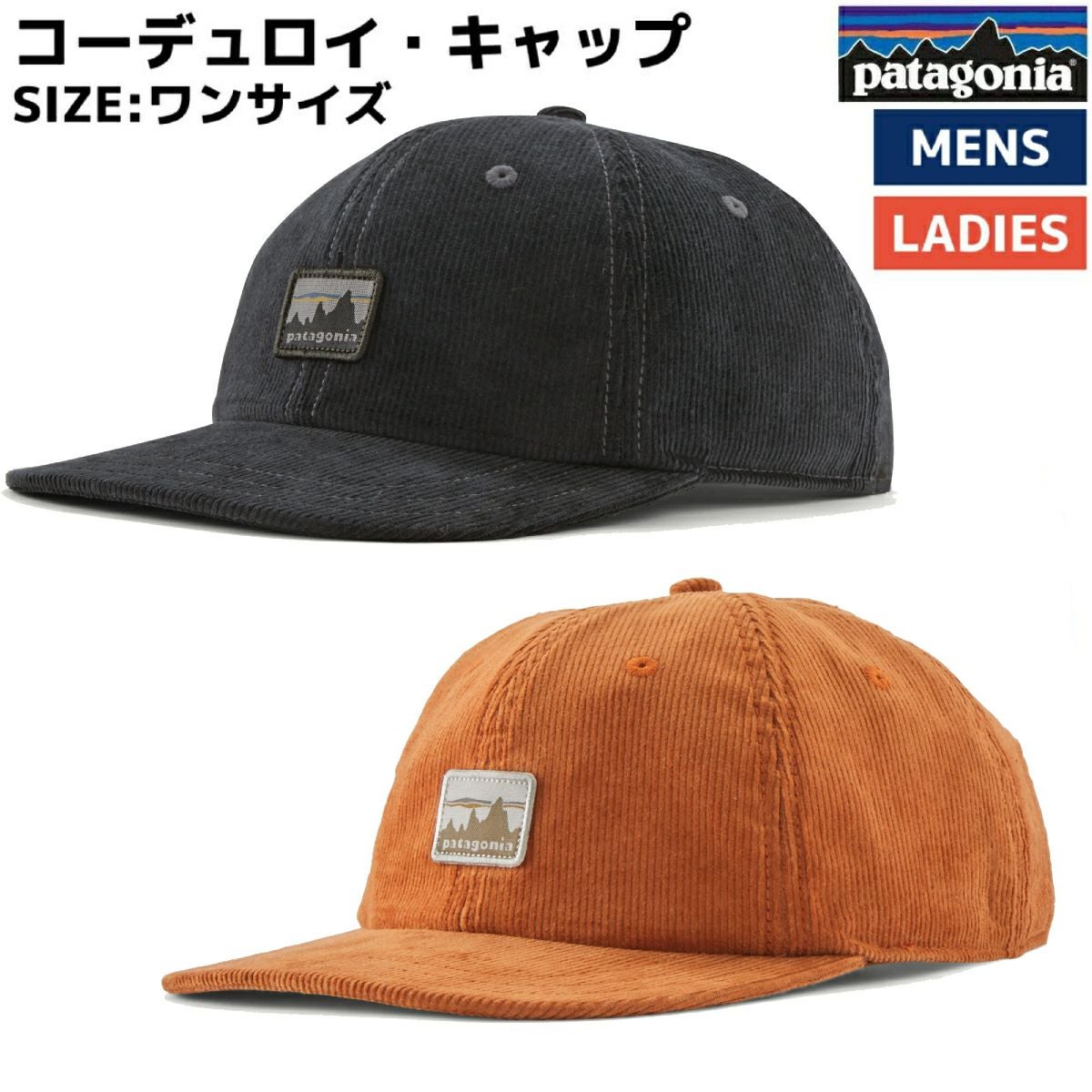 パタゴニア PATAGONIA CORDUROY CAP コーデュロイ・キャップ メンズ