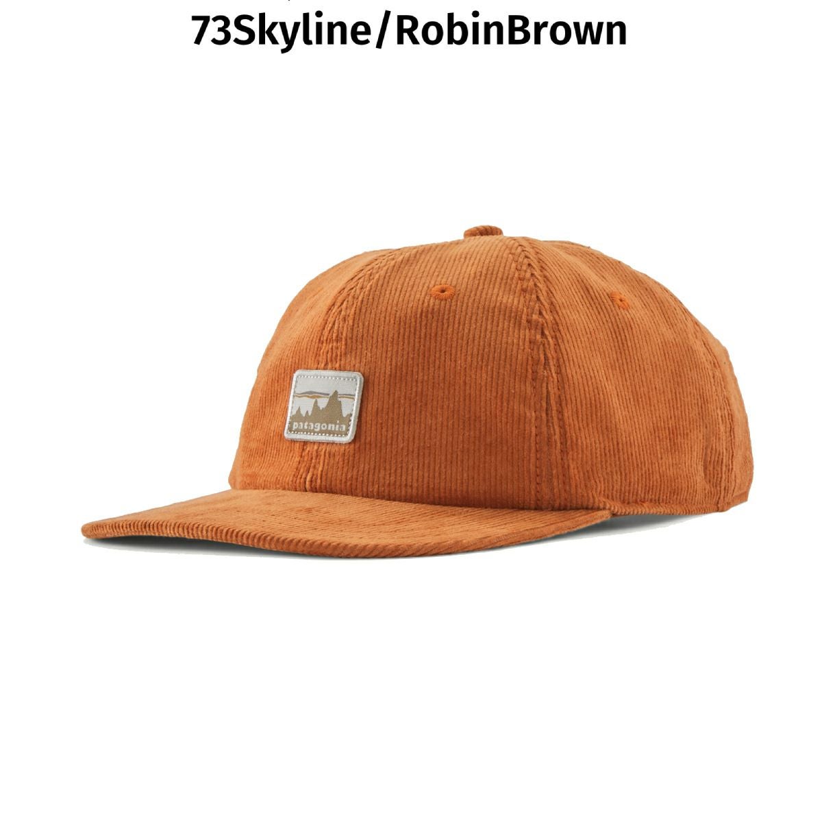 パタゴニア PATAGONIA CORDUROY CAP コーデュロイ・キャップ メンズ