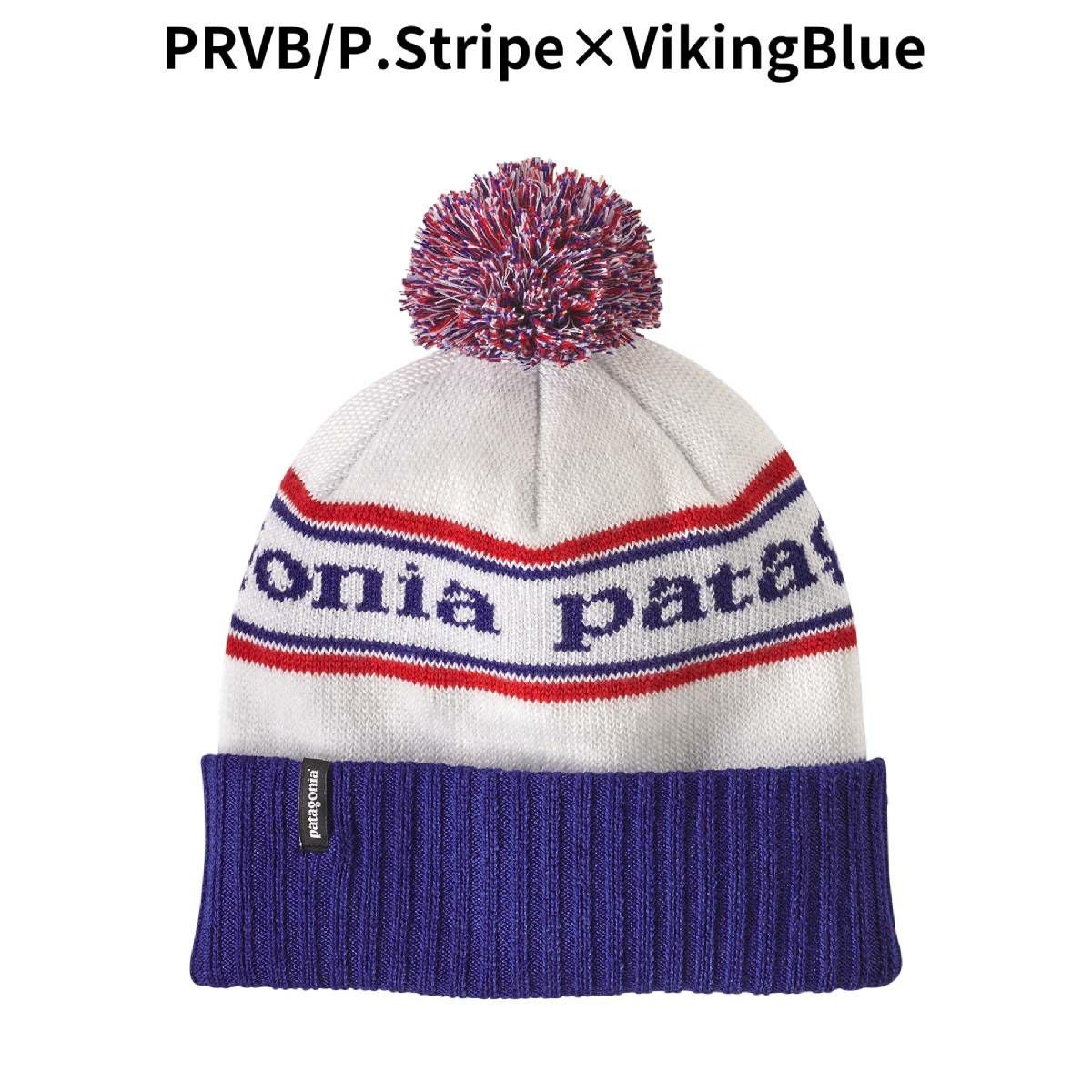 パタゴニア パウダー・タウン・ビーニー メンズ レディース ユニ