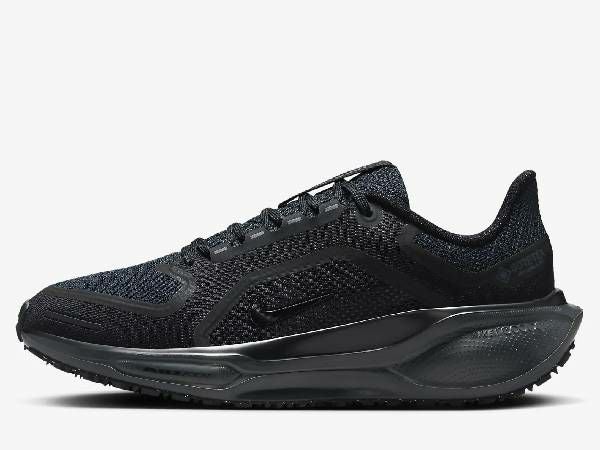 ナイキ NIKE AIR ZOOM PEGASUS 41 GORE-TEX エア ズーム ペガサス 41