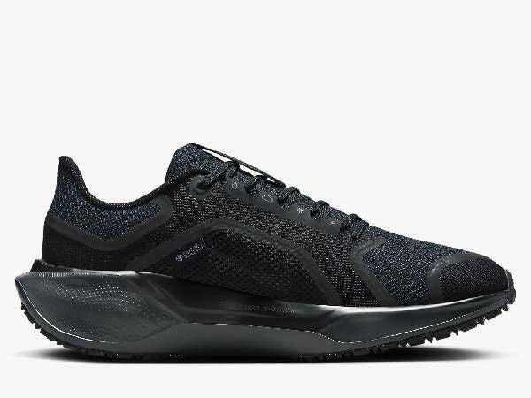 ナイキ NIKE AIR ZOOM PEGASUS 41 GORE-TEX エア ズーム ペガサス 41
