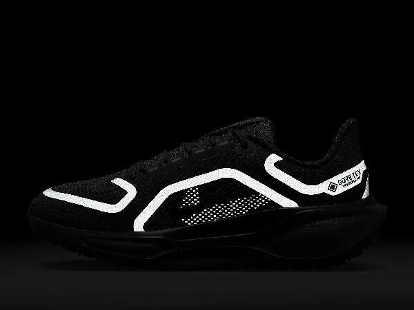 ナイキ NIKE AIR ZOOM PEGASUS 41 GORE-TEX エア ズーム ペガサス 41