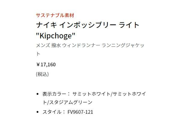 ナイキ NIKE インポッシブリー ライト Kipchoge 撥水 ウィンドランナー