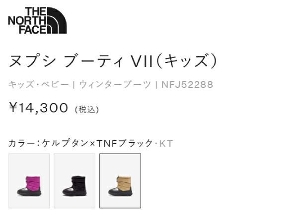 ザ・ノース・フェイス THE NORTH FACE 【正規取扱店】ヌプシ ブーティ