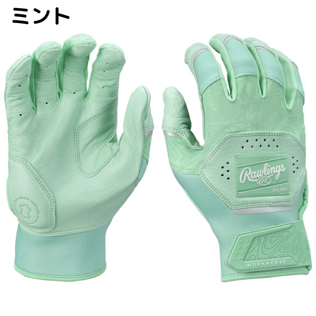 ローリングス Rawlings 2025年モデル Workhorse バッティンググラブ