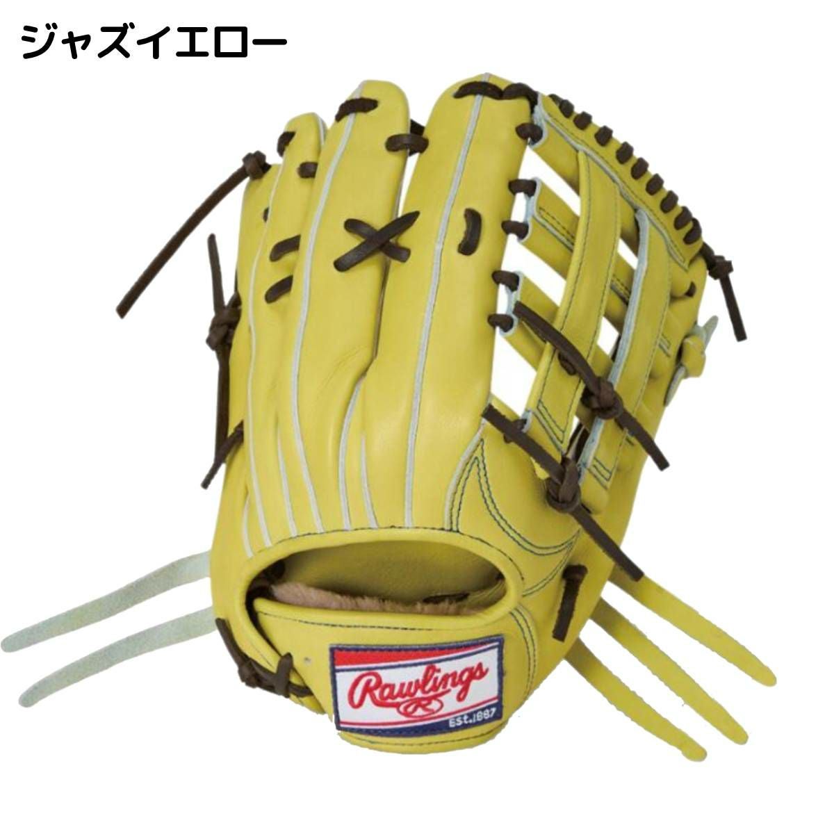 ローリングス Rawlings 専用グラブ袋付き HOH PREMIUM 硬式用グラブ 外