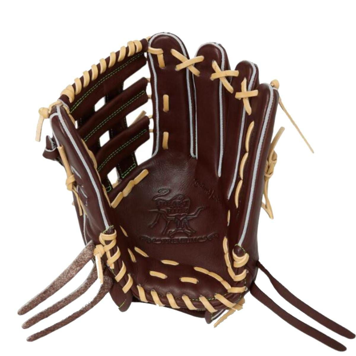 ローリングス Rawlings 専用グラブ袋付き HOH PREMIUM 硬式用グラブ 外