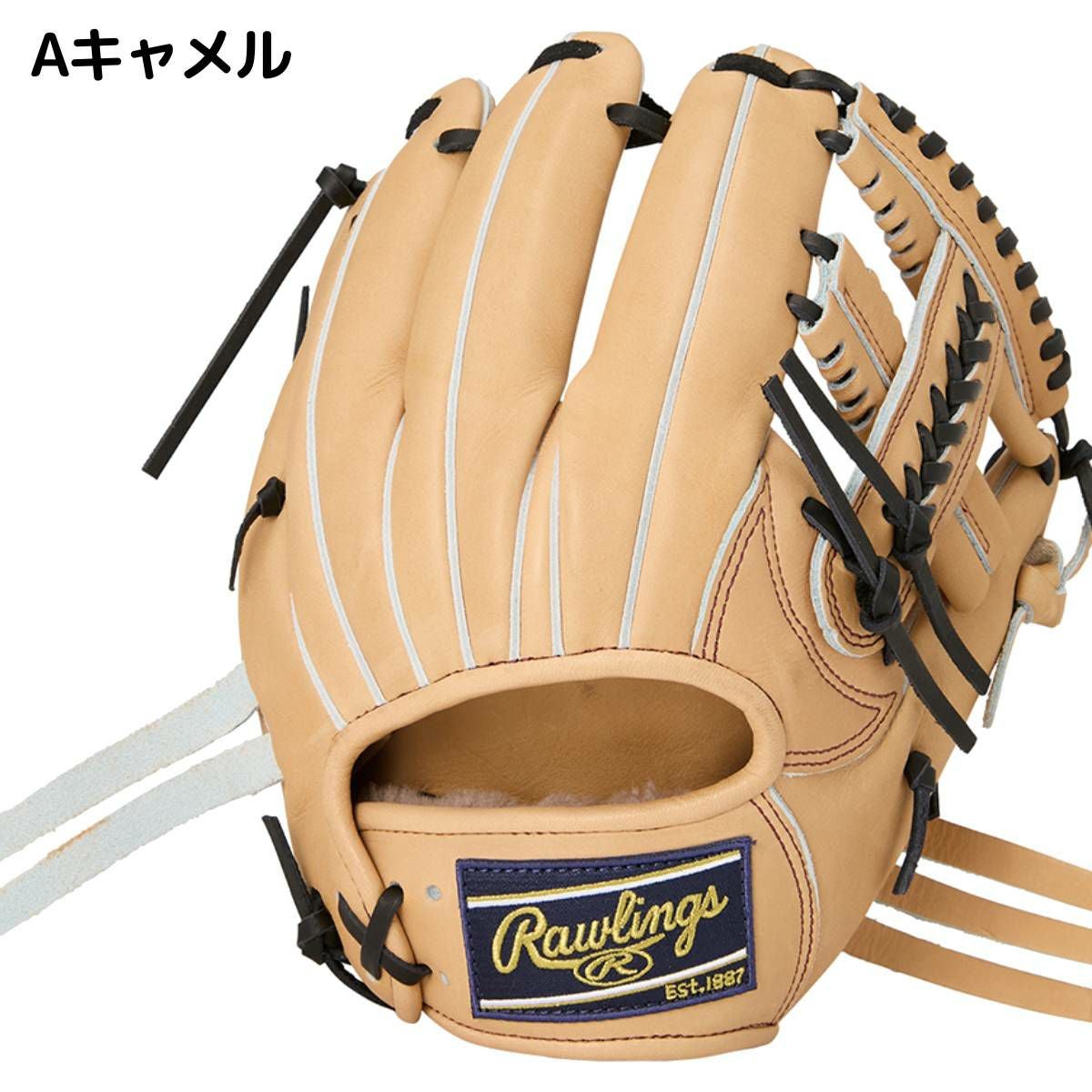 ローリングス Rawlings 専用グラブ袋付き HOH PREMIUM 硬式用グラブ 内