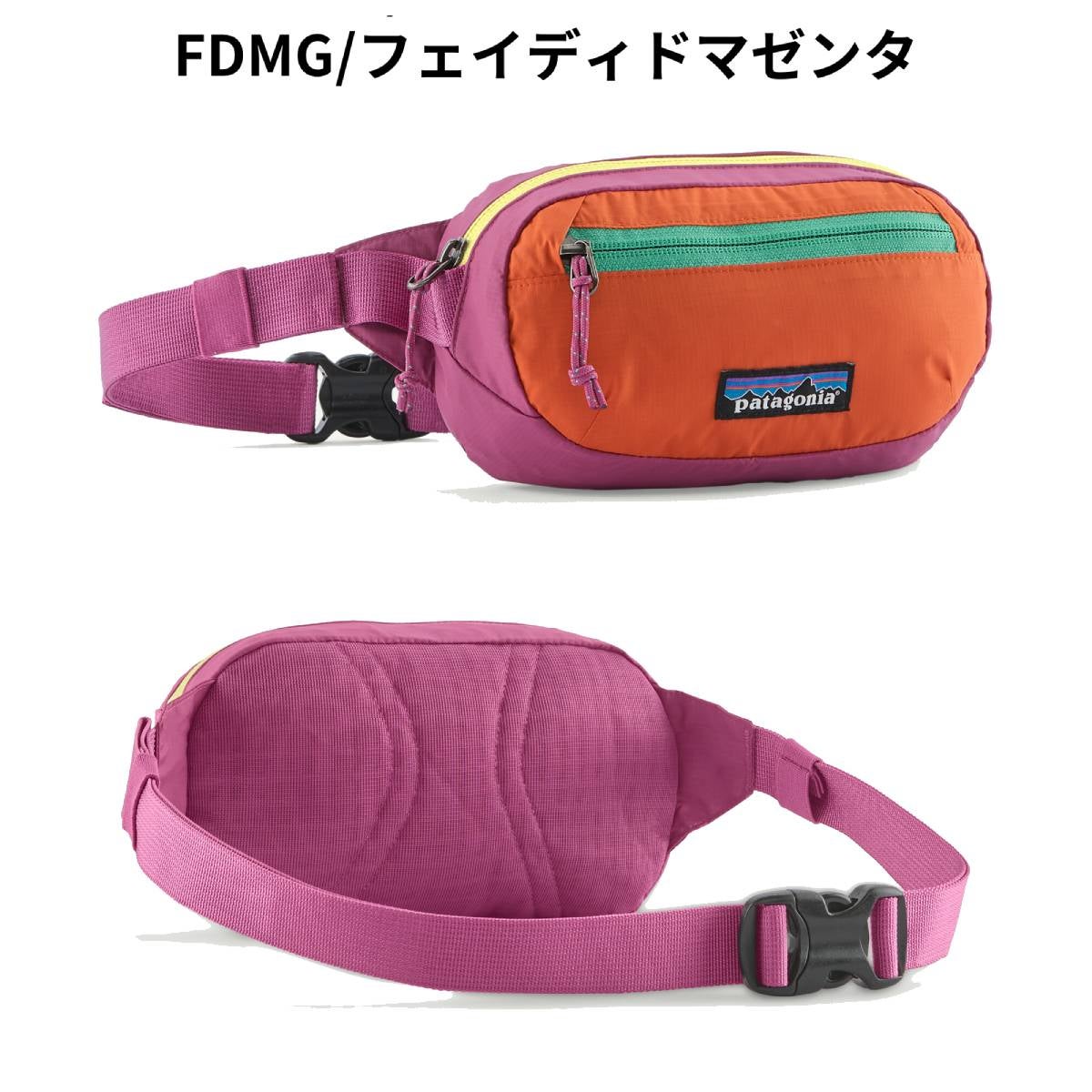 パタゴニア テラヴィア・ミニ・ヒップ・パック 1L PATAGONIA TERRAVIA