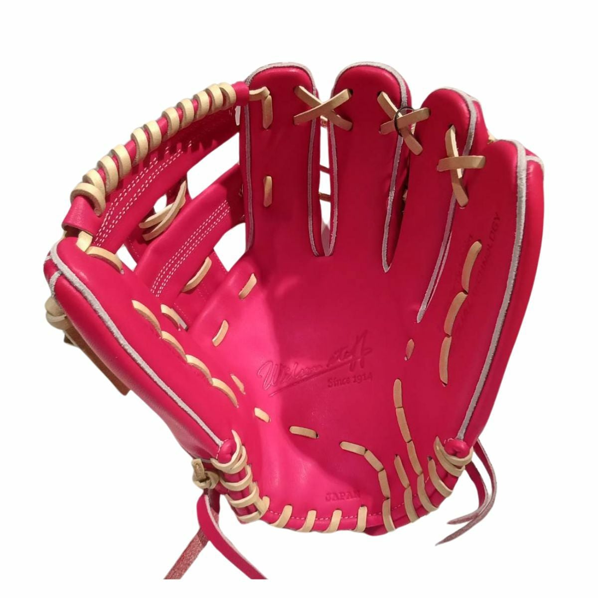 ウイルソン/ウィルソン Wilson 【専用グラブ袋付き】 限定 ウィルソン
