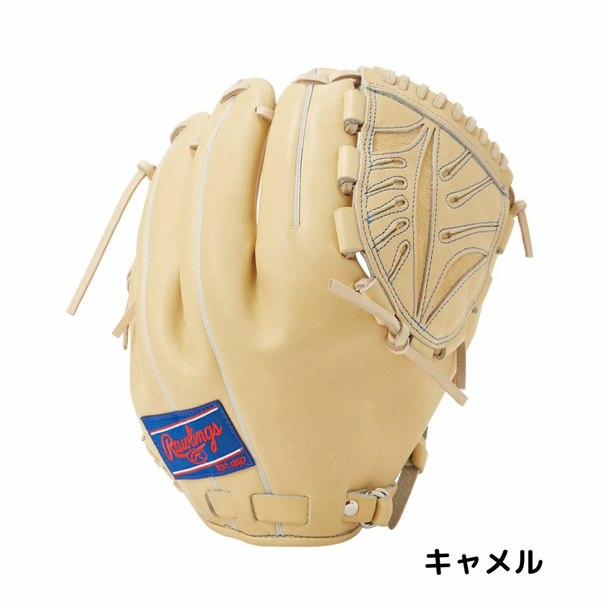 ローリングス Rawlings 【専用グラブ袋付き】PRO PREFERRED 硬式用