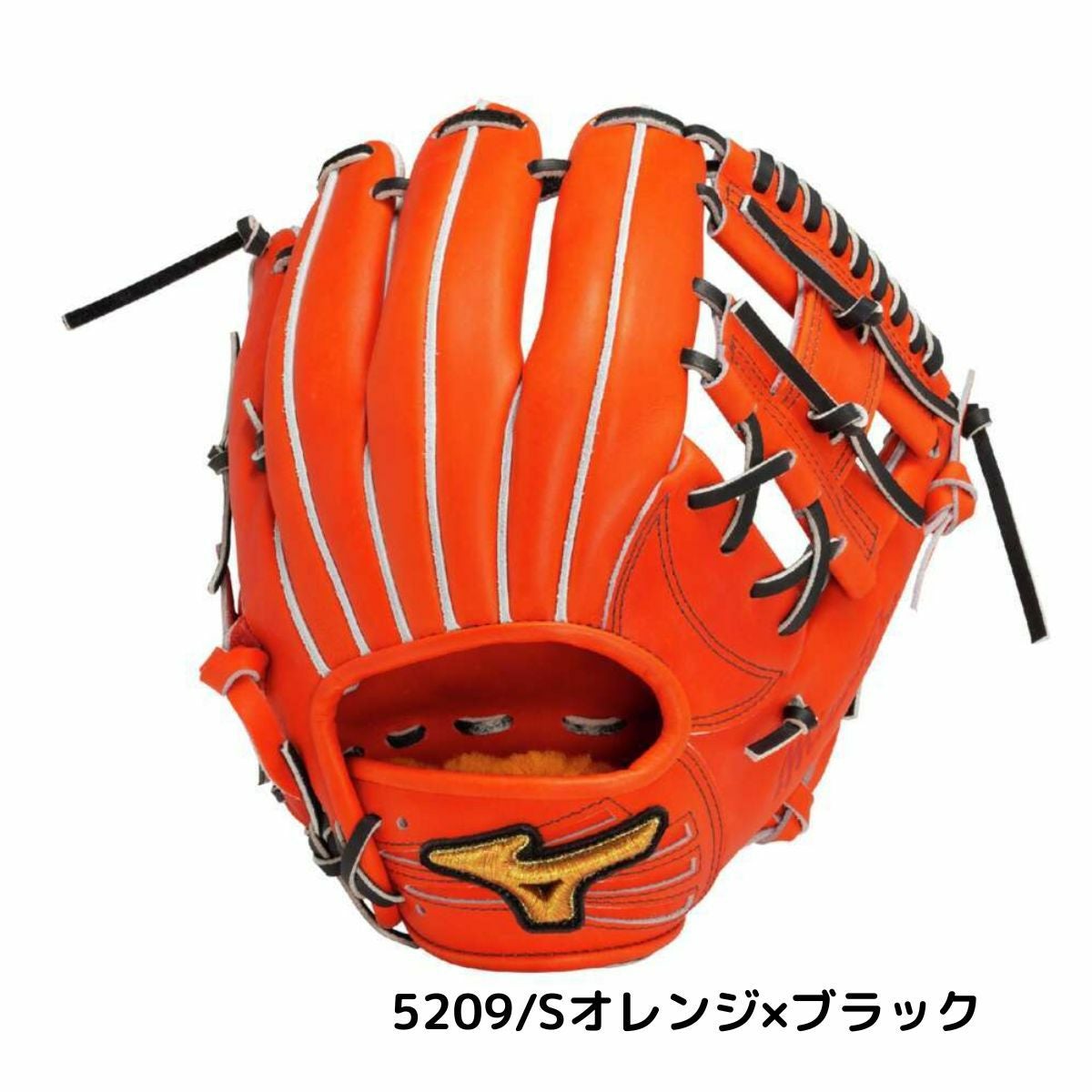 ミズノ MIZUNO 【専用グラブ袋付き】 ミズノプロ MizunoPro 硬式用