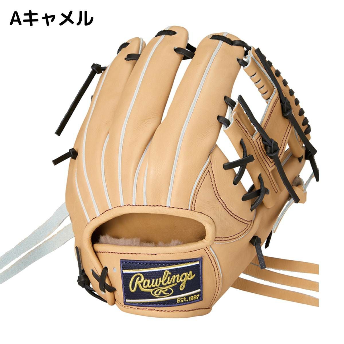 ローリングス Rawlings 専用グラブ袋付き HOH PREMIUM 硬式用グラブ 内