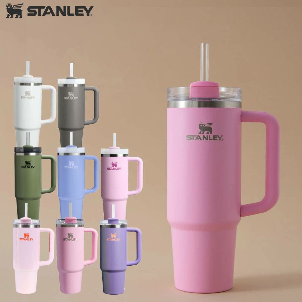 スタンレー オールデイスリムボトル 0.6L 600ml STANLEY | スポーツ