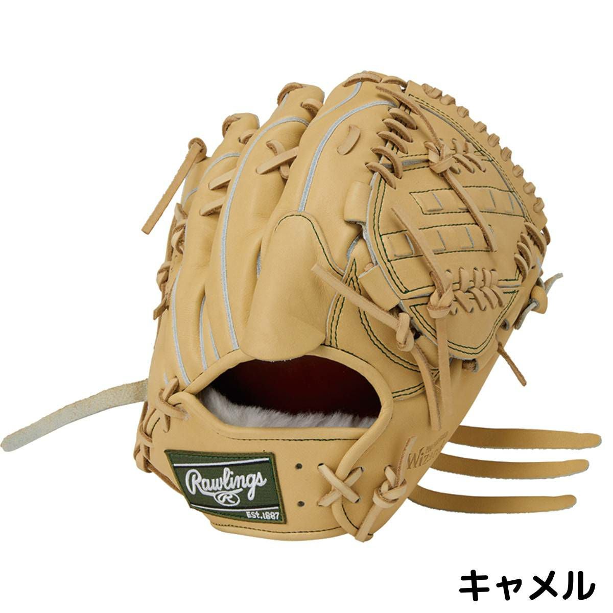 ローリングス Rawlings 専用グラブ袋付き PRO PREFERRED Wizard #02