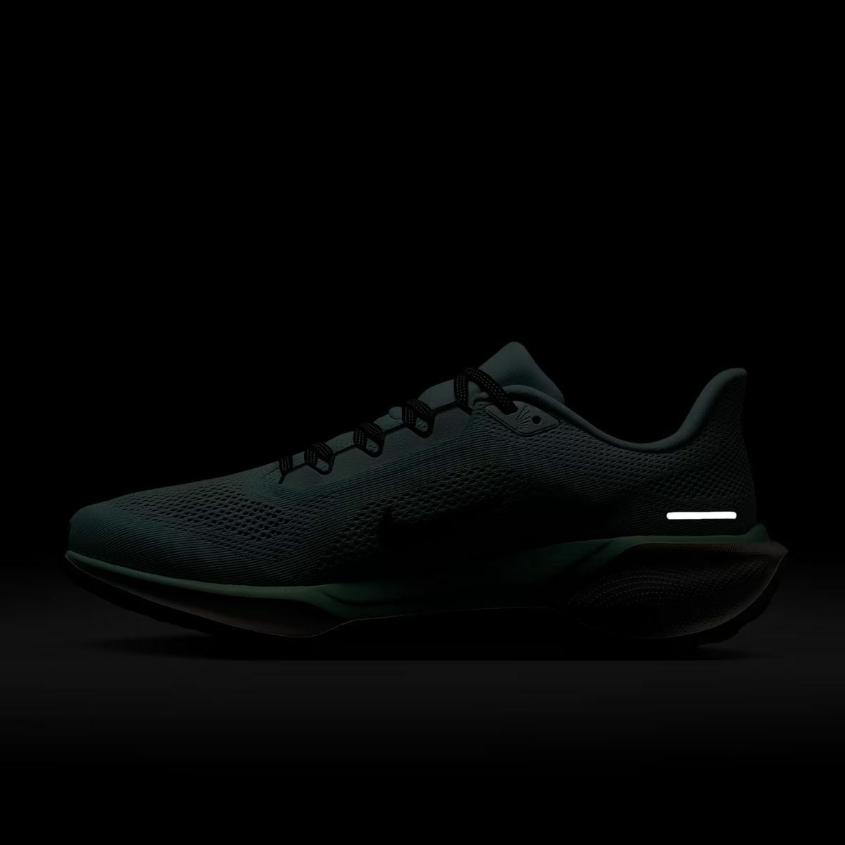 ナイキ エア ズーム ペガサス 41 メンズ NIKE AIR ZOOM PEGASUS 41