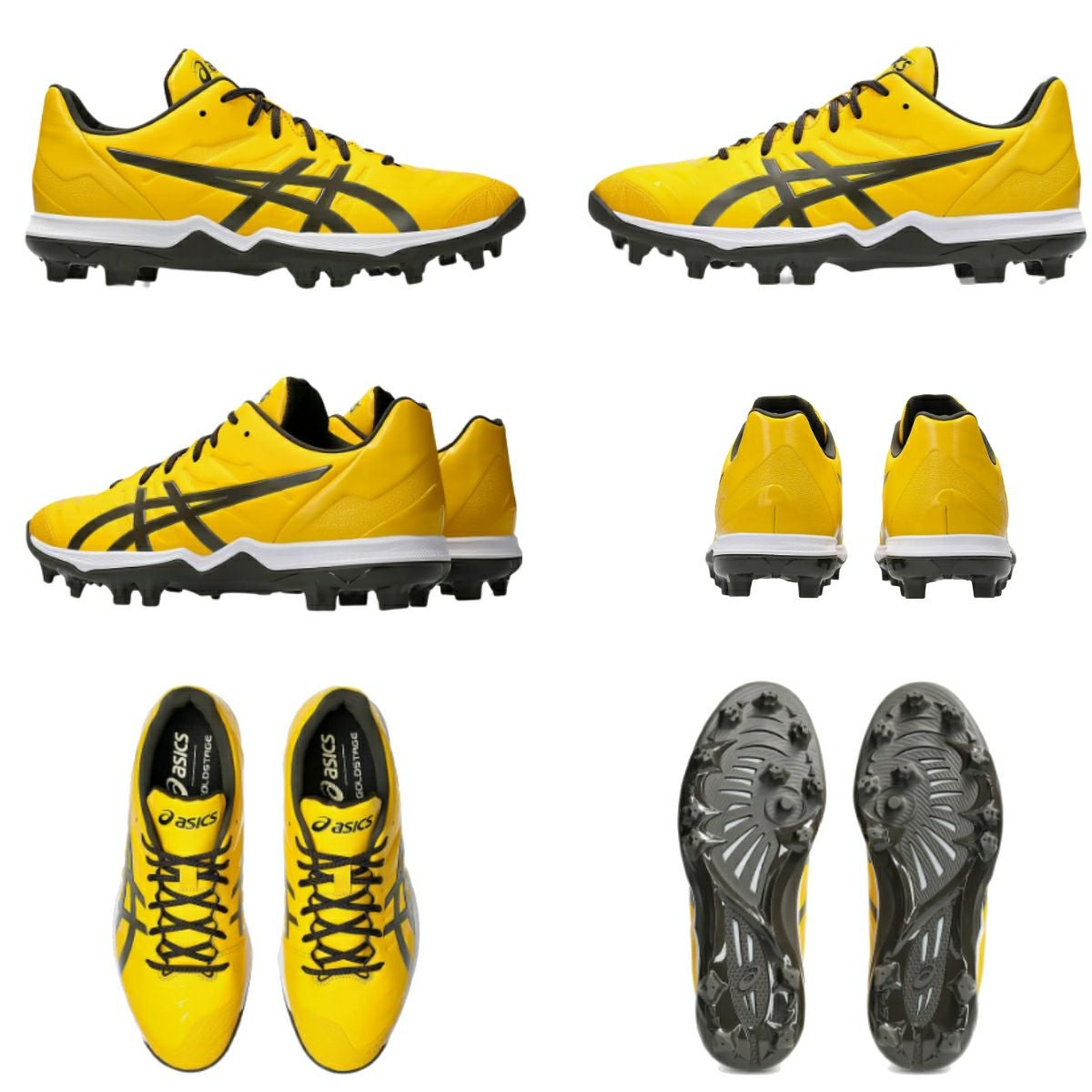 アシックス ゴールドステージ ファング 一般 asics GOLDSTAGE FANG