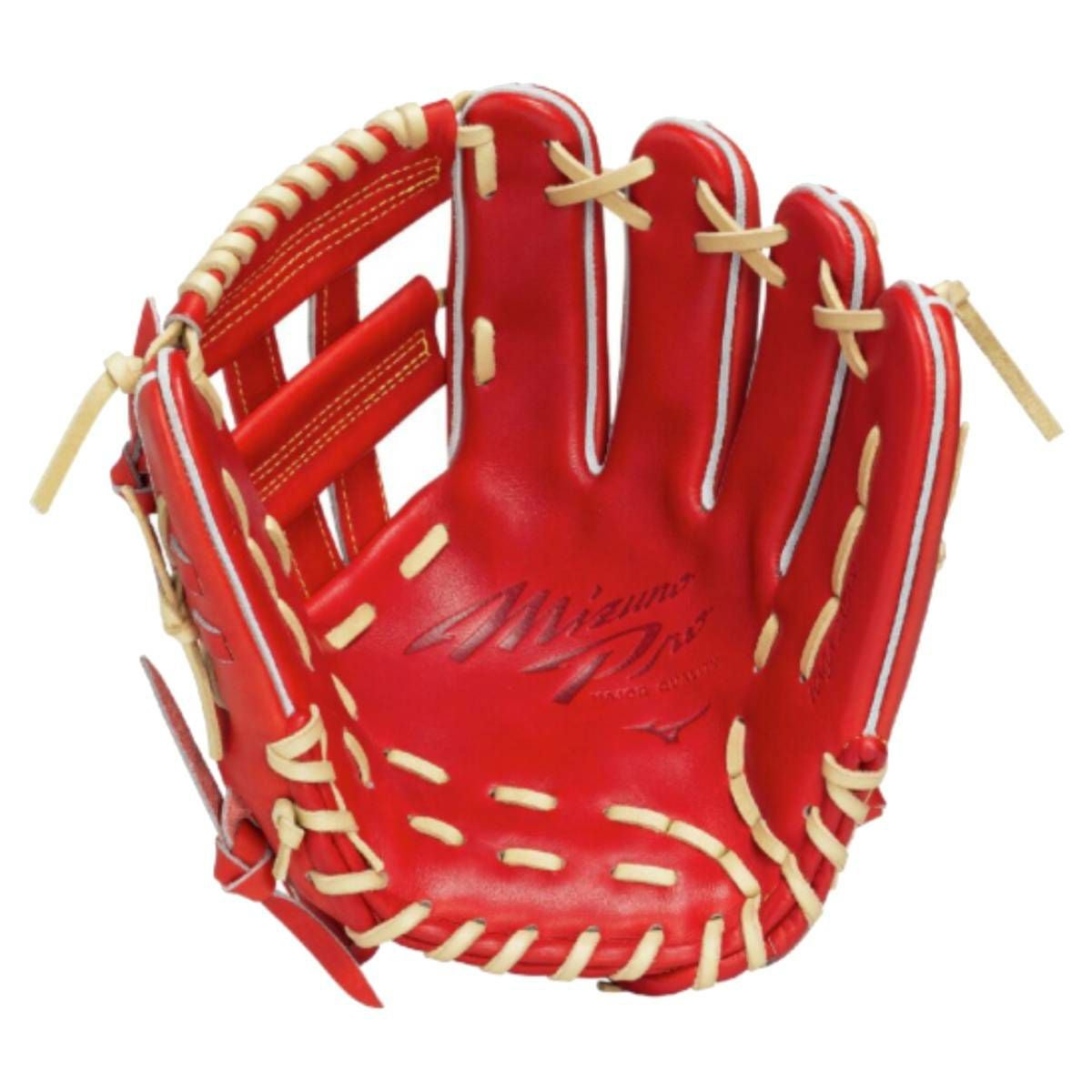 ミズノ MIZUNO 専用グラブ袋付き MizunoPro Classic 硬式用グラブ 内