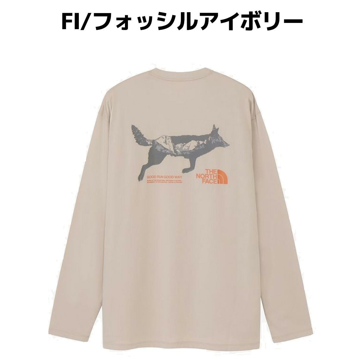 ノースフェイス ロングスリーブ フリーラン フラッシュ ドライクルー