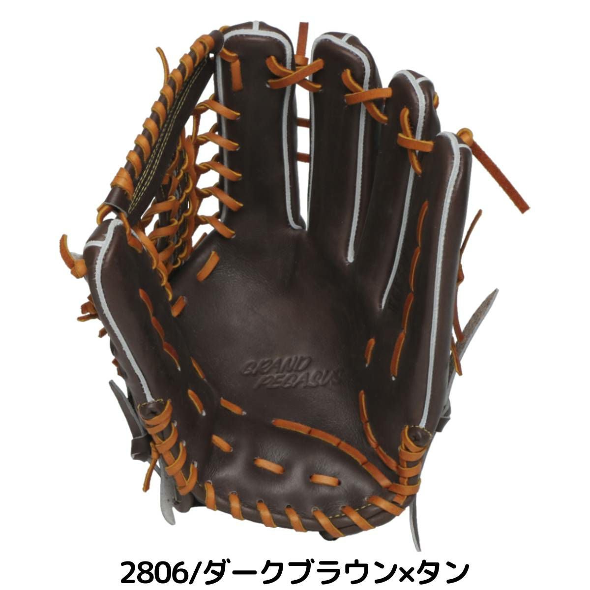 ワールドペガサス 専用グラブ袋付き グランドペガサス 硬式用グラブ 外