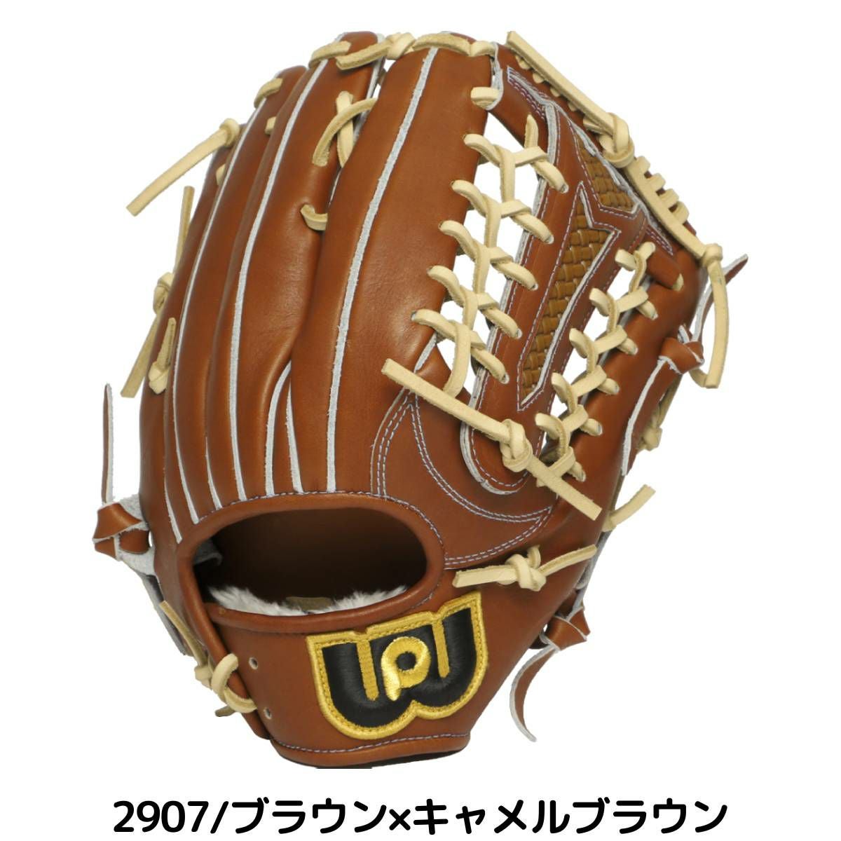 ビッグフライ様限定　グランドペガサス　TOP硬式　軟式　兼用　サイズ9 ビッグフライ様限定 グランドペガサス TOP硬式 軟式 兼用 サイズ9