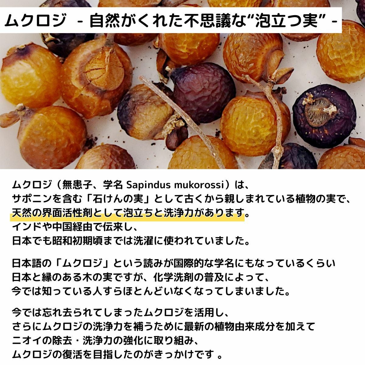 スポーツナチュラル Sports Natural ムクロジ ミラクルウォッシュ