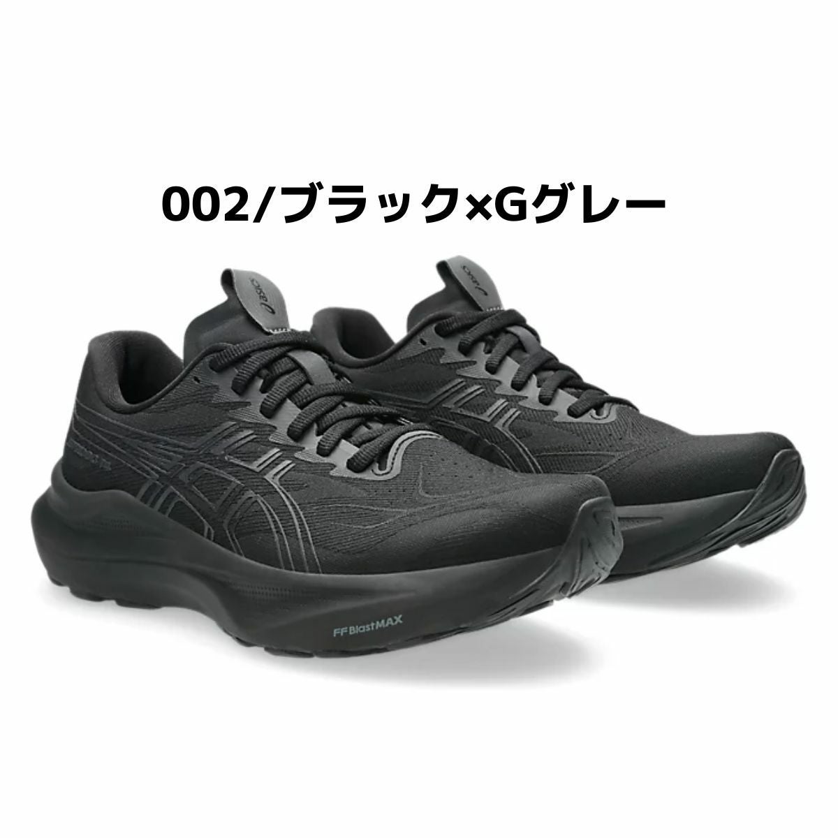 アシックス スポーツ ランニングシューズ ランシュー asics 14