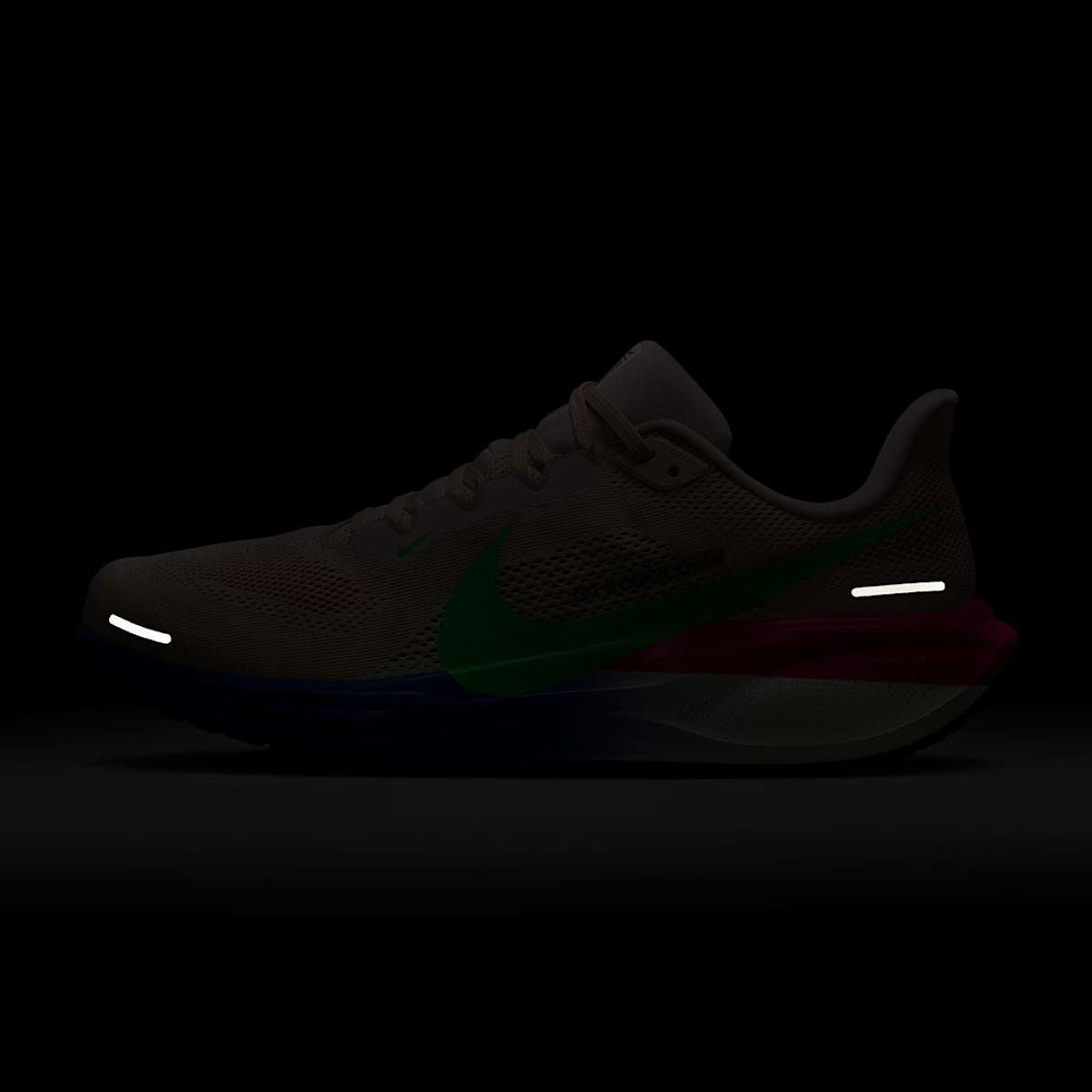 ナイキ ペガサス 41 エリウド キプチョゲ メンズ NIKE AIR ZOOM