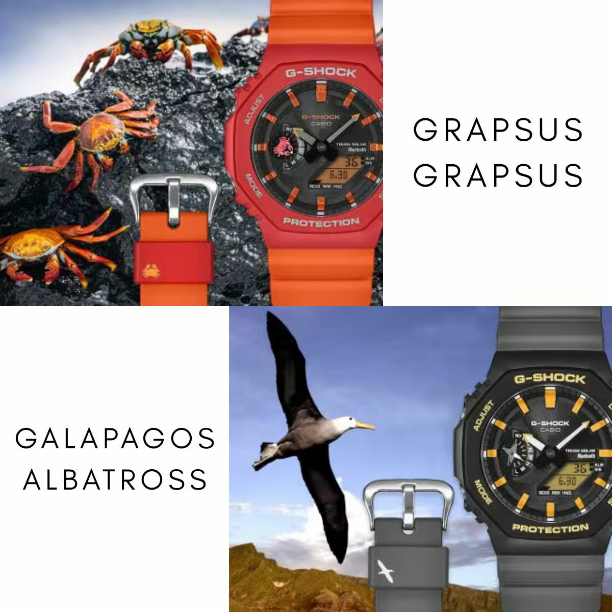 カシオ CASIO GA-B2100 ガラパゴス メンズ レディース ユニセックス